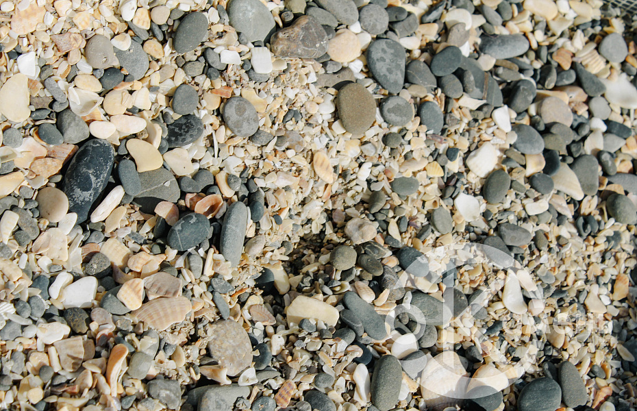 Галька декоративная Морской песок с ракушками