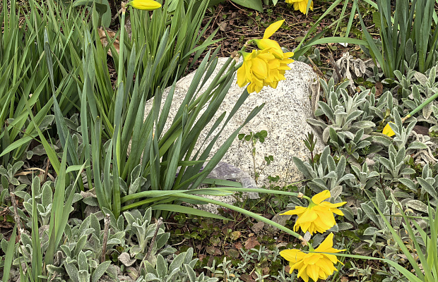 Расписание работы в майские праздники 2026