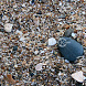 Морской песок с ракушками